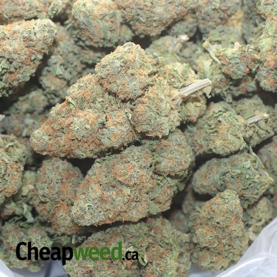 ALASKAN THUNDERFUCK 1 I $ 50 Oz - Alaskan Thunderfuck