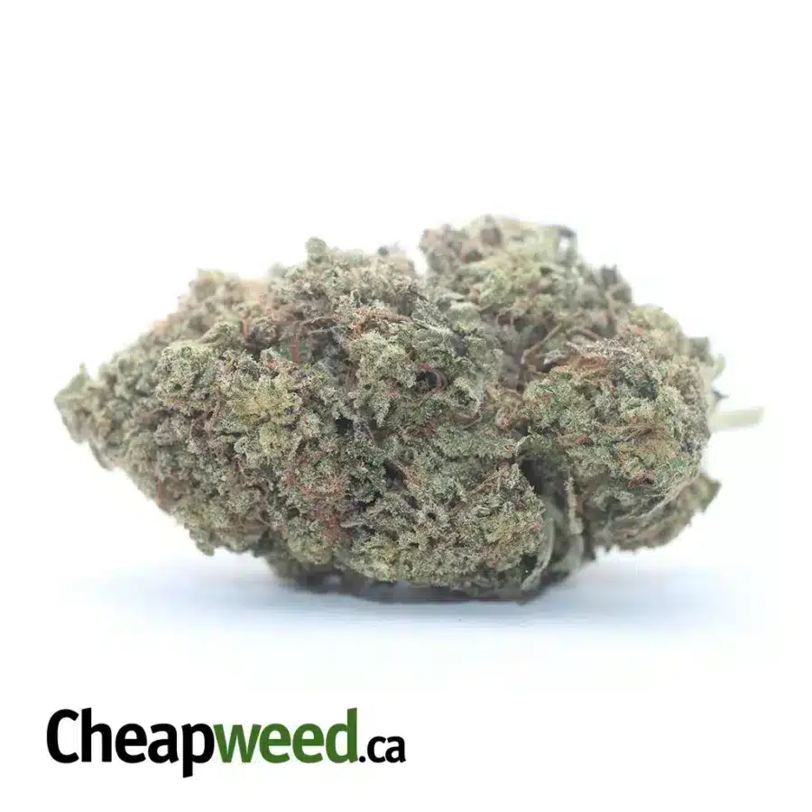 $ 42 Oz - Apple To Apples