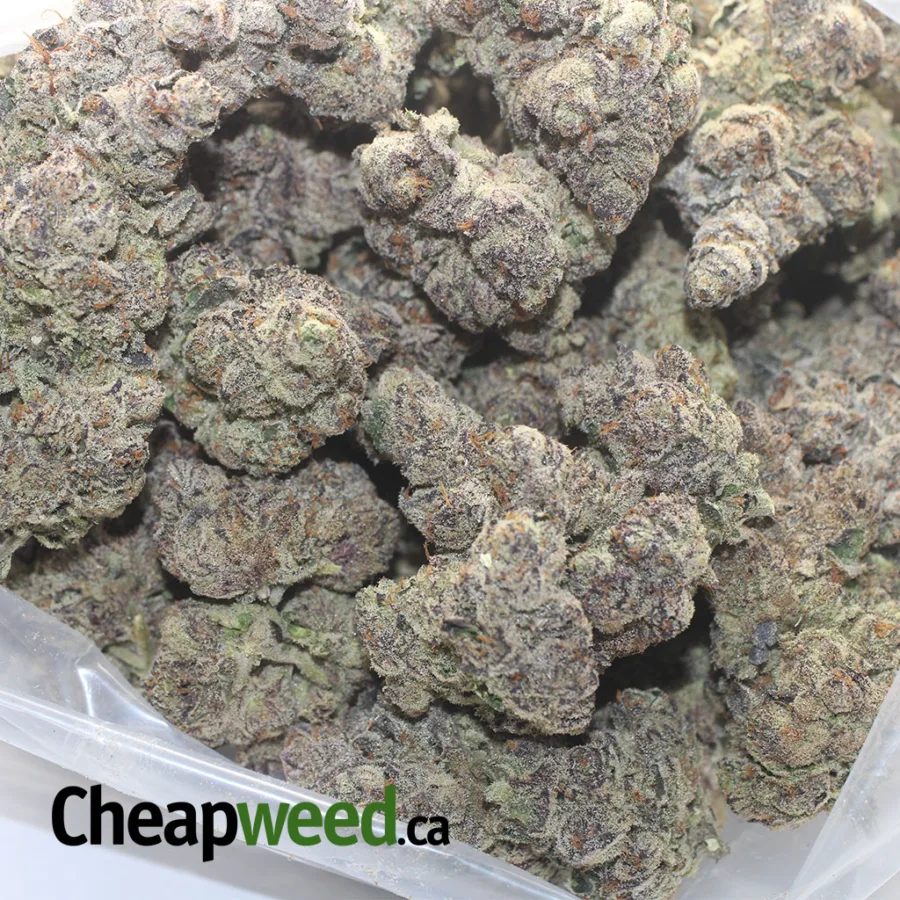 BLUEBERRY SPACE COOKIES 4 I Blueberry Space Cookies