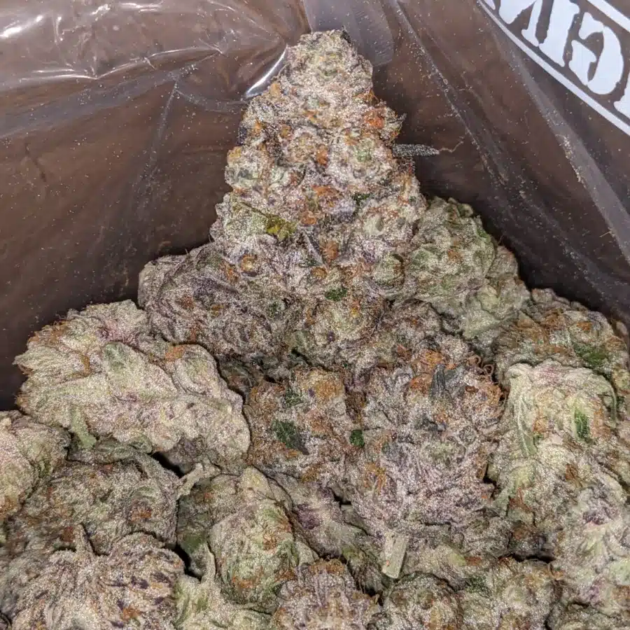Blueberry Yum Yum 1 I Blueberry YumYum