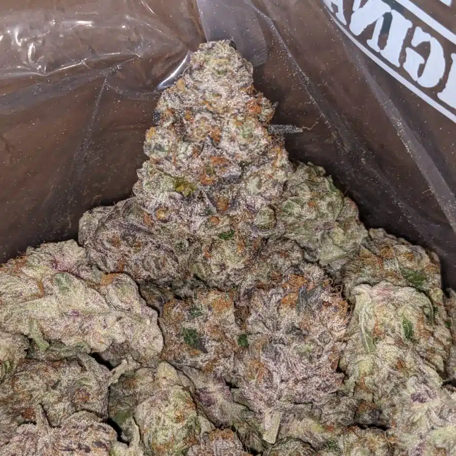 Blueberry Yum Yum 3 I Blueberry YumYum
