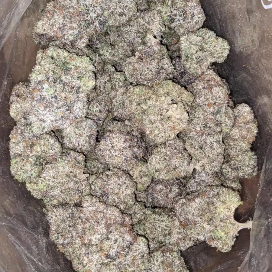 Bruce Banner 2 1 I Bruce Banner