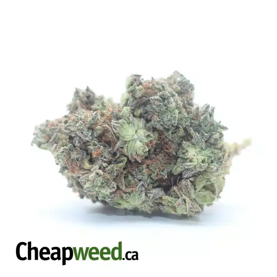 Chemo