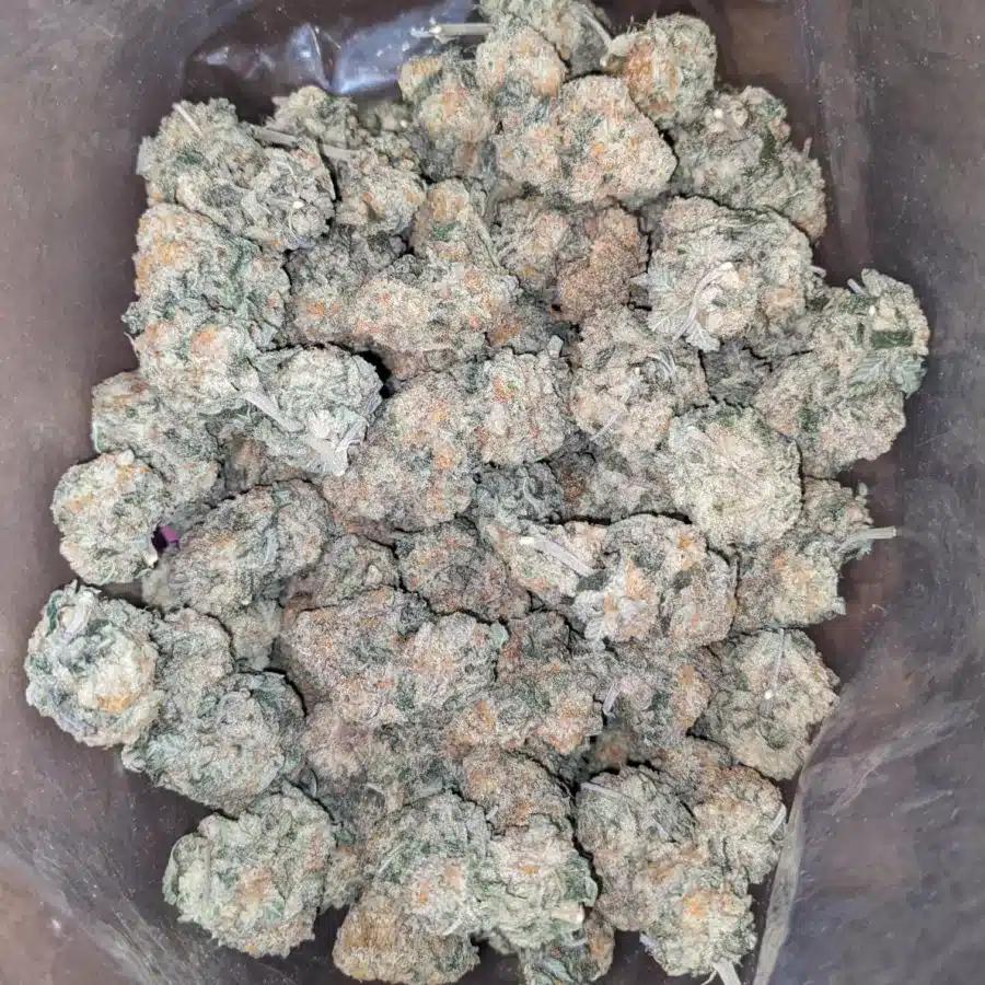 Chem Bomb 1 1 I Chem Bomb