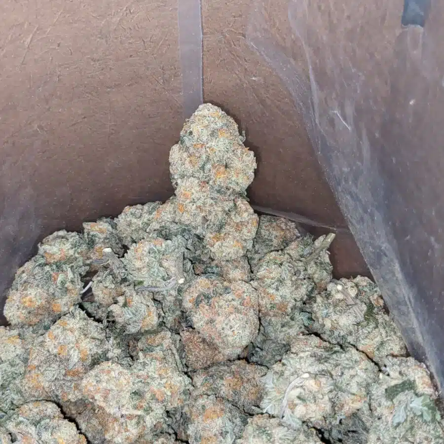 Chem Bomb 2 1 I Chem Bomb