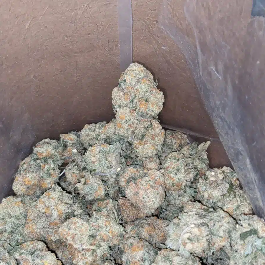 Chem Bomb 3 1 I Chem Bomb