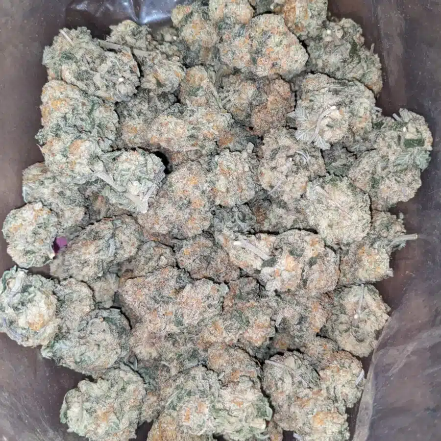 Chem Bomb 4 I Chem Bomb