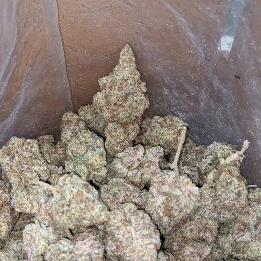 Frosty Flakes 4 I Frosty Flakes