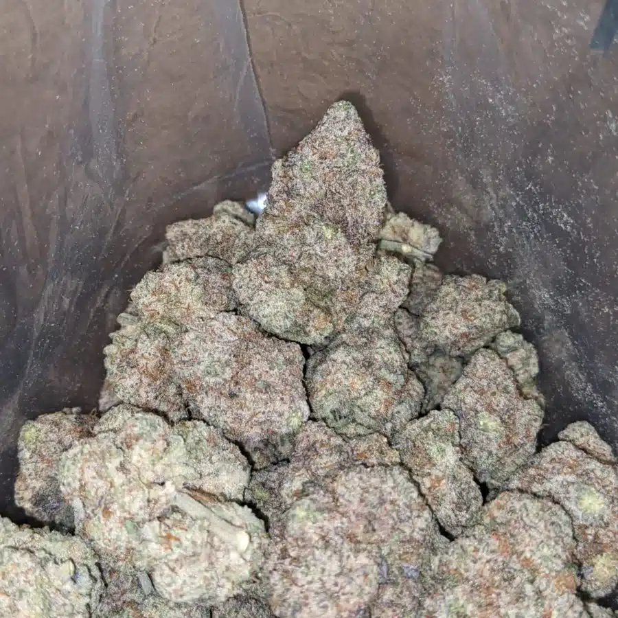 Funky charms 3 1 I $ 60 Oz - Funky Charms
