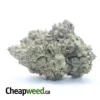 Ghost Bubba