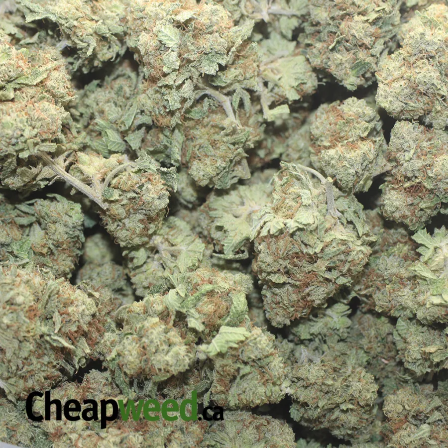 GREEN GOBLIN 1 I $ 47 Oz - Green Goblin