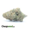 Greenfarm's Animal Cookies