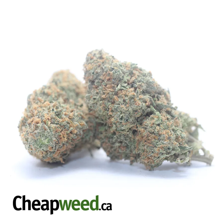Alternative view of Greenfarm's Animal Cookies