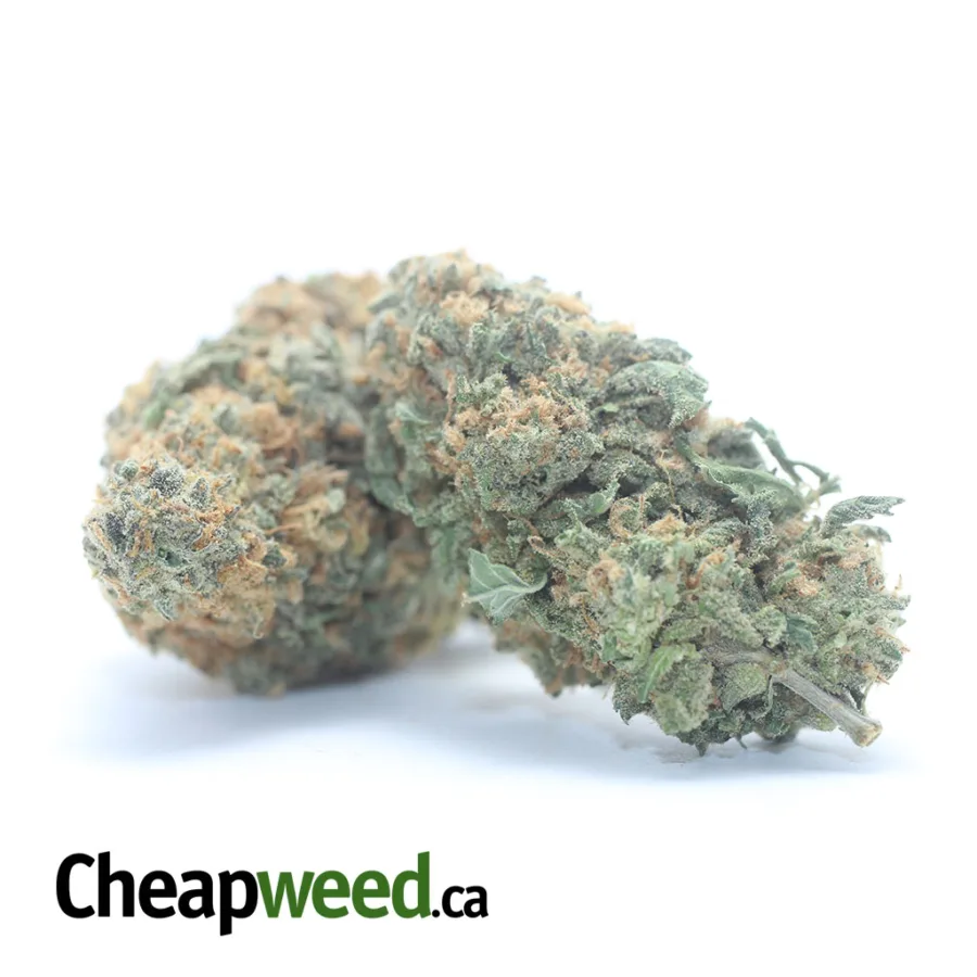 Alternative view of Greenfarm's Nuken
