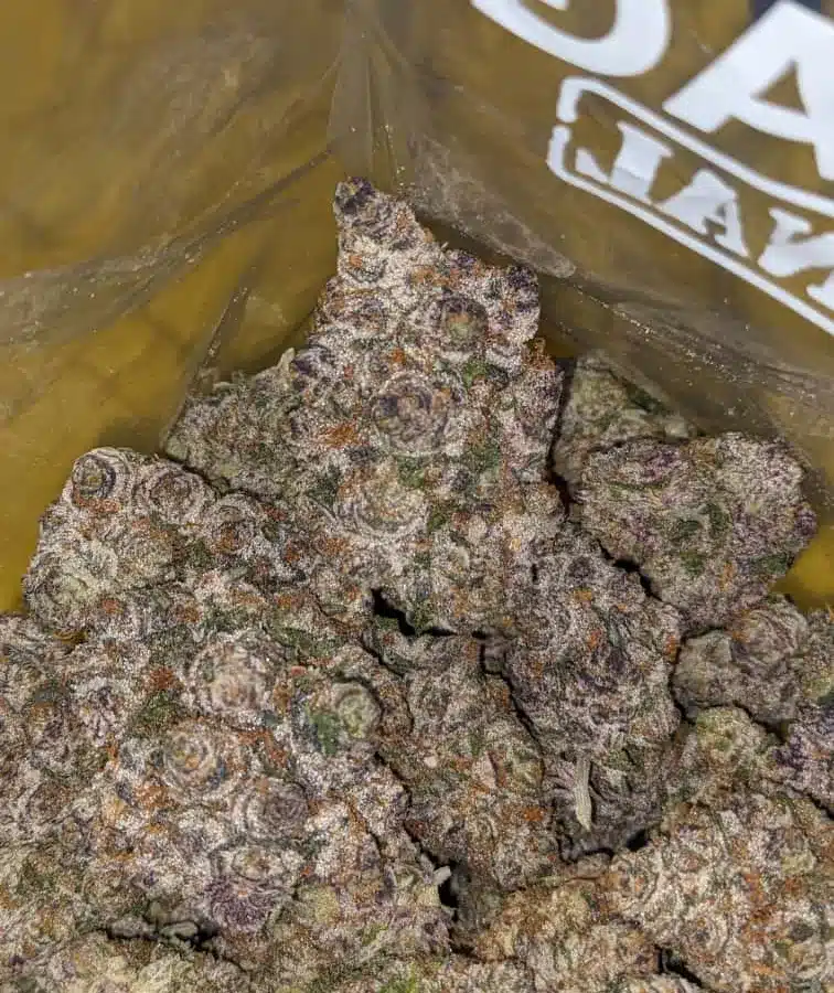 Grape cream cake 4 I Grape Cream Cake