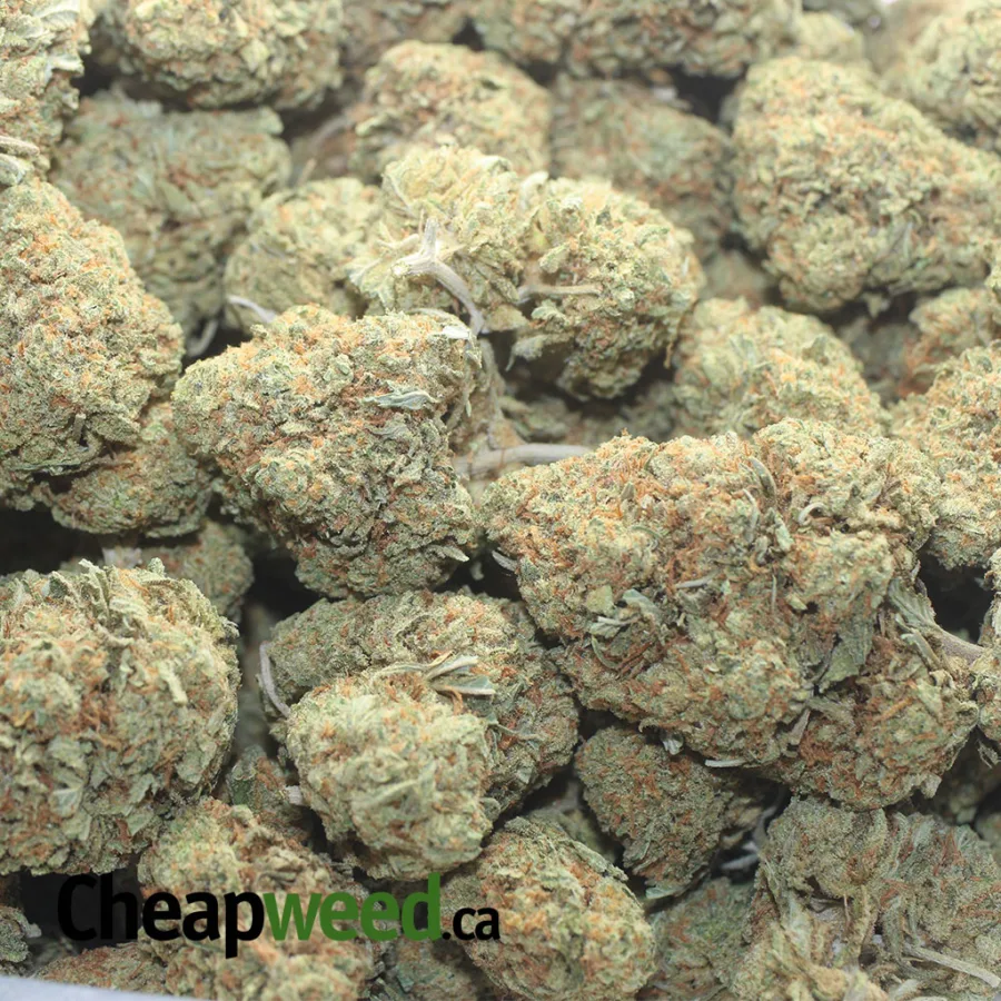 JETFUEL 1 I $ 47 Oz - Jetfuel