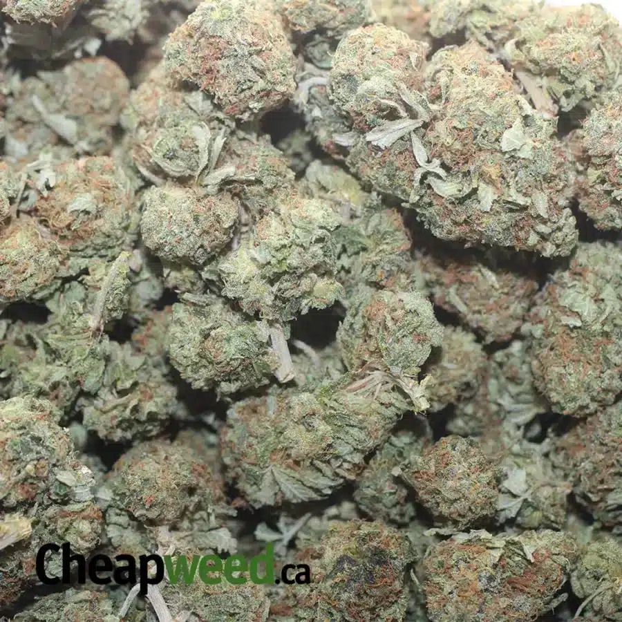 LA CONFIDENTIAL 1 I $ 45 Oz - La Confidential