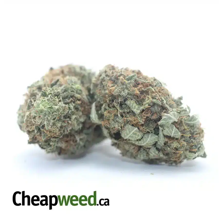 Alternative view of $ 45 Oz - La Confidential