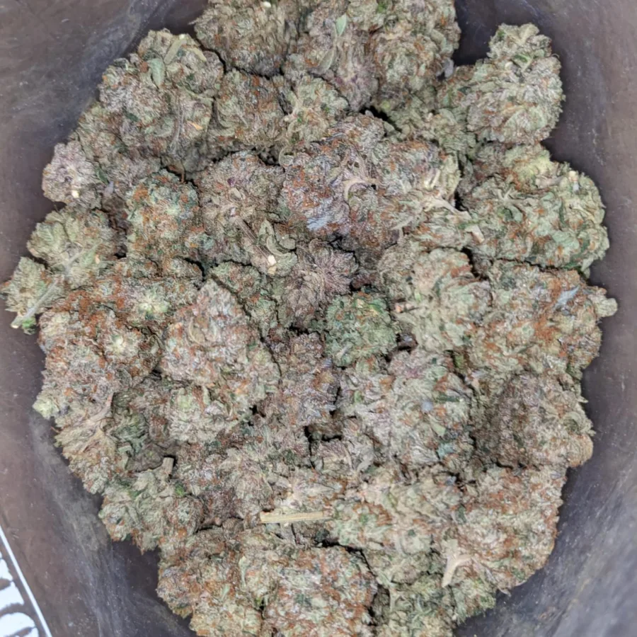 Pink Goo