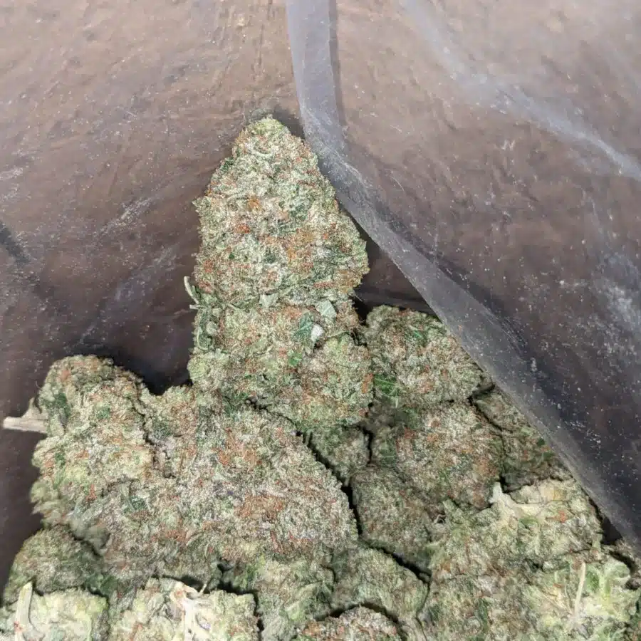 Pink Rozay 4 I Pink Rozay