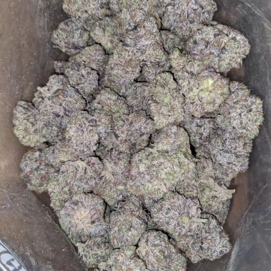 Platinum Pink 1 I Platinum Pink
