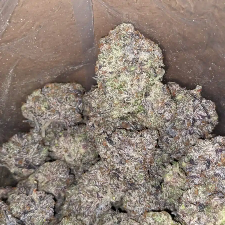 Platinum Pink 4 I Platinum Pink