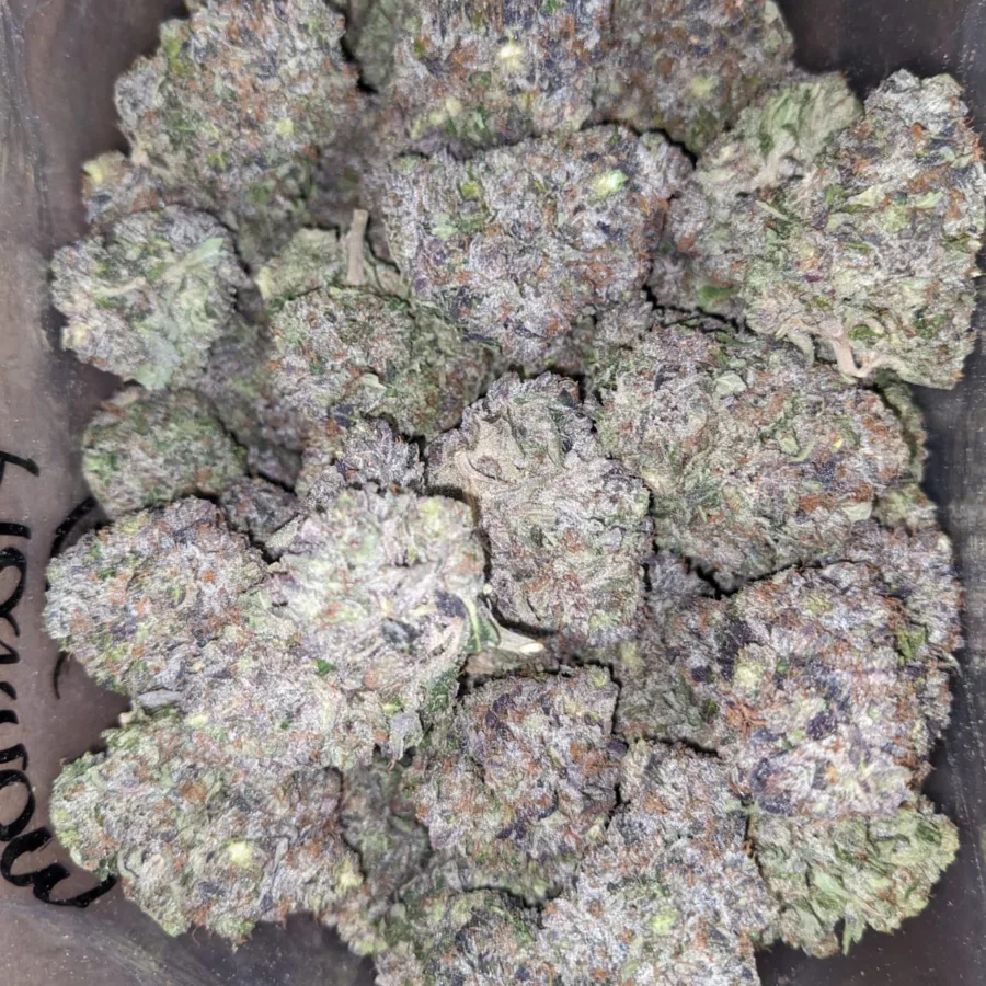 Alternative view of Platinum Rockstar