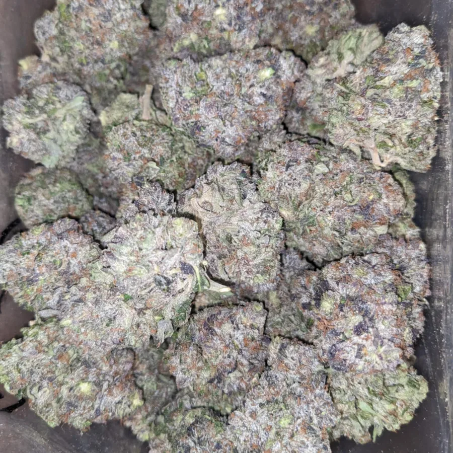 Platinum Rockstar