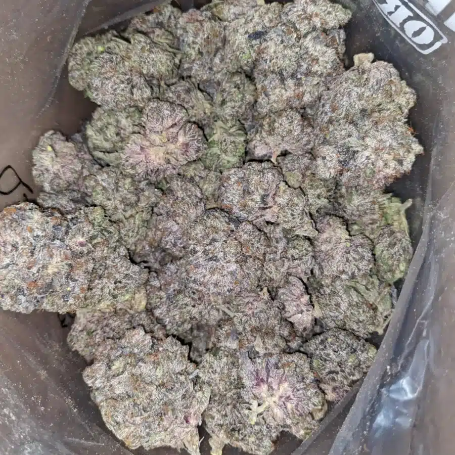 Purple Bubba 1 I Purple Bubba