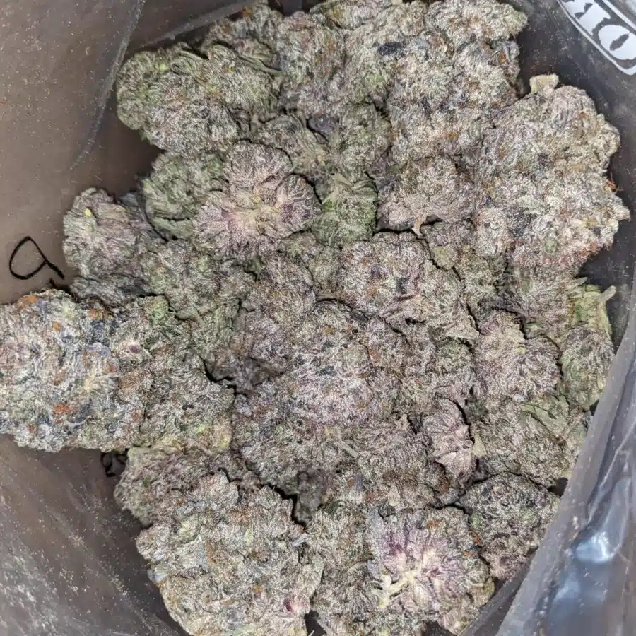 Purple Bubba 2 I Purple Bubba