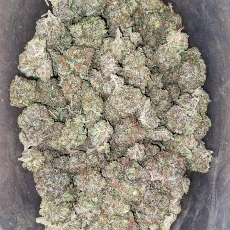 Rockstar Bubba
