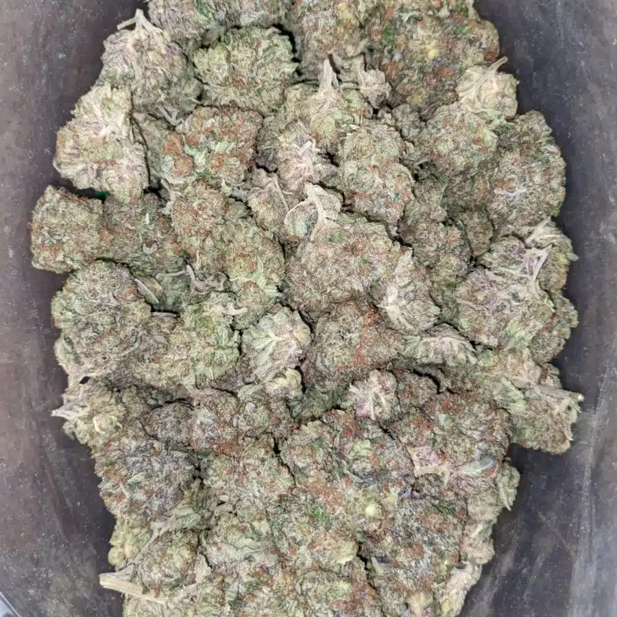 Alternative view of Rockstar Bubba