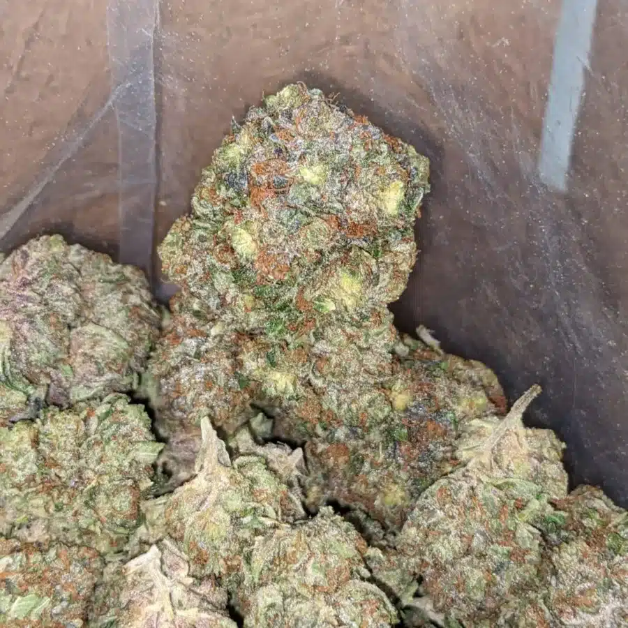 Rockstar Bubba 3 I Rockstar Bubba