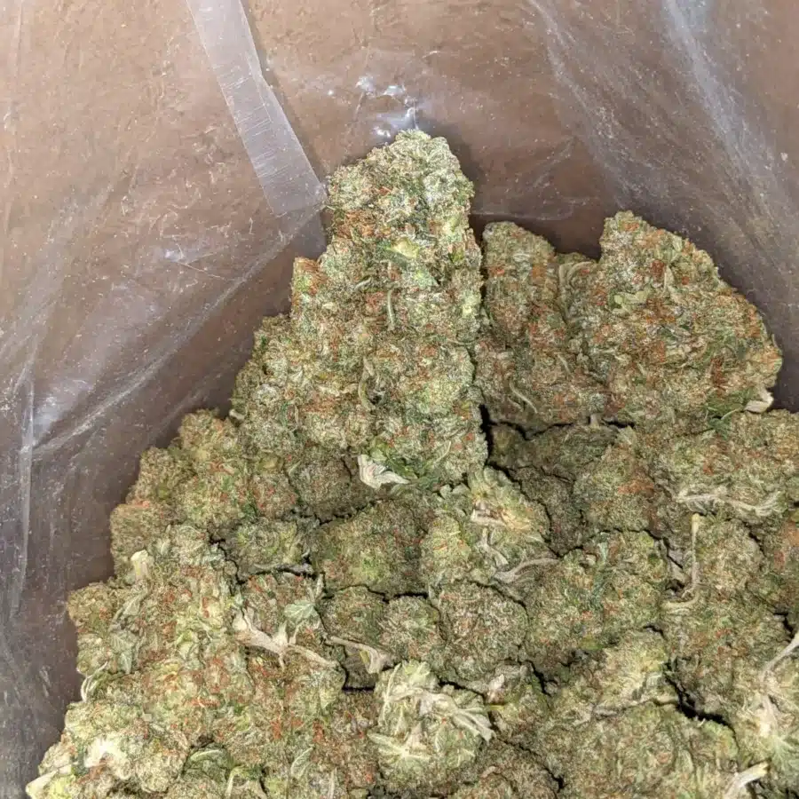 Stinky pink 2 I Stinky Pink