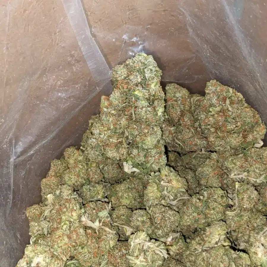 Stinky pink 3 I Stinky Pink