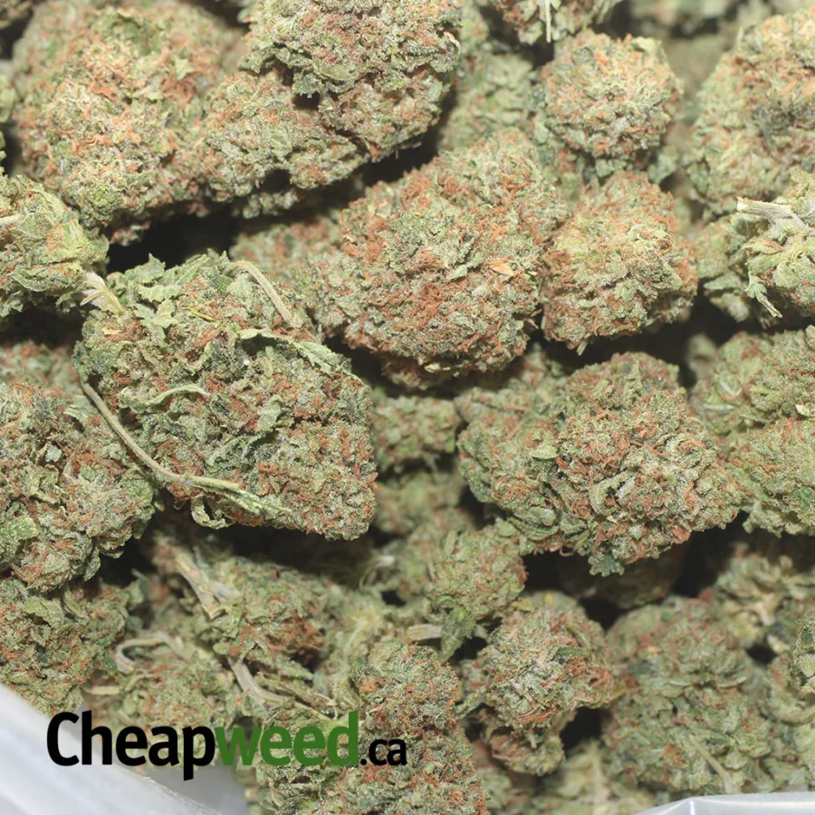 TONYS BUBBA KUSH 1 I Tony's Bubba Kush