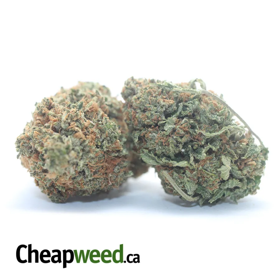 TONYS BUBBA KUSH 3 I Tony's Bubba Kush