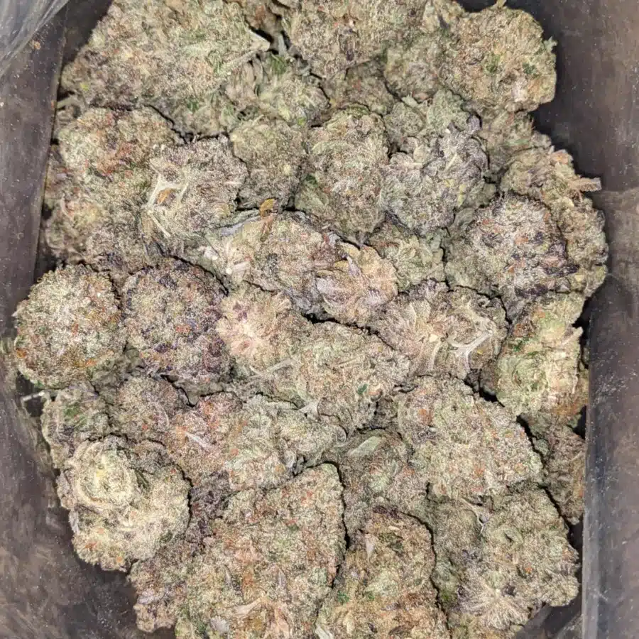Tuna Kush AAA 2 I Gobstopper