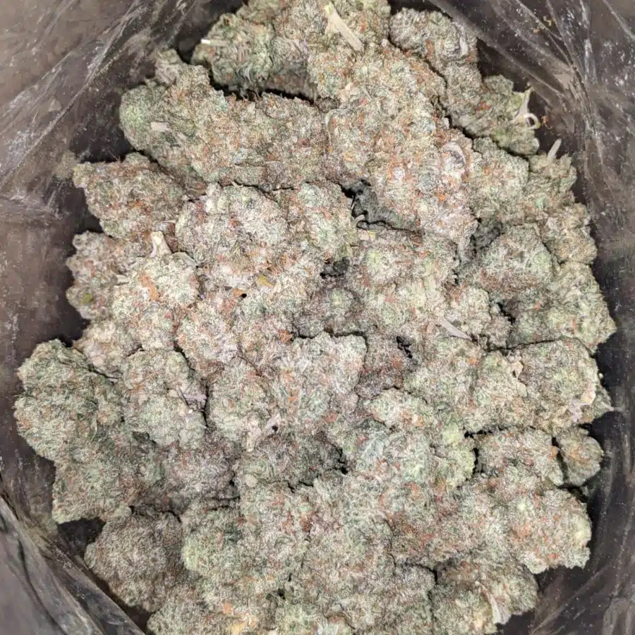 Very Berry 4 I Very Berry