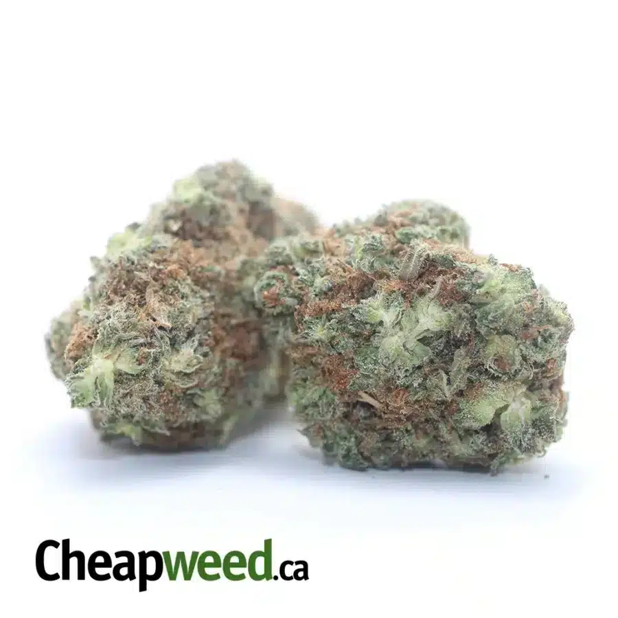 WOODY KUSH 3 I Woody Kush