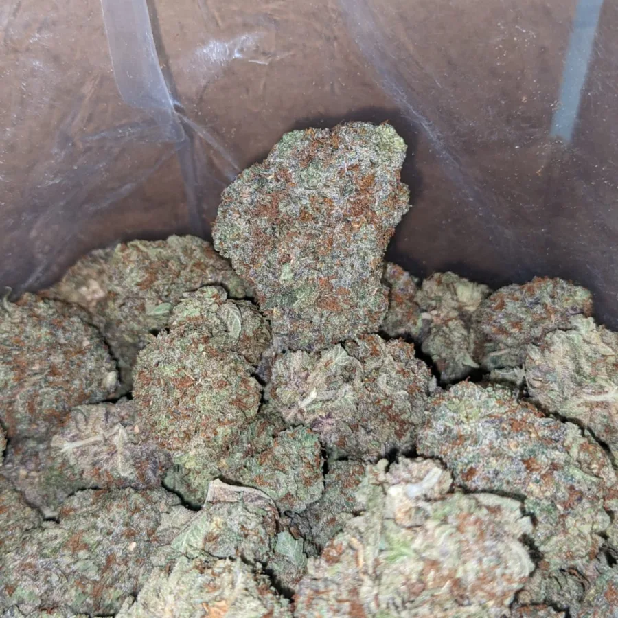 $45oz GMO Cookies - Image 3