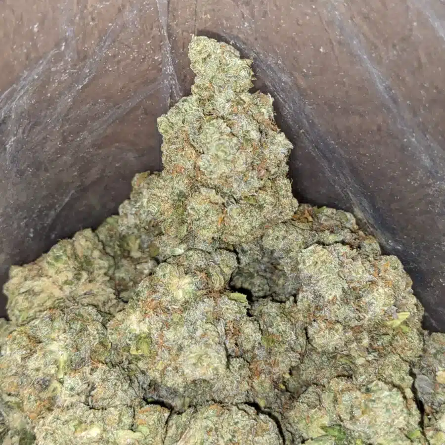 Alternative view of $60oz Pineapple Skunk