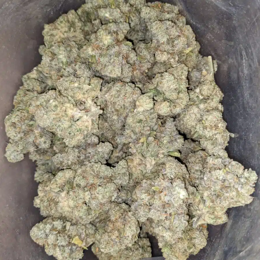 $60oz Pineapple Skunk