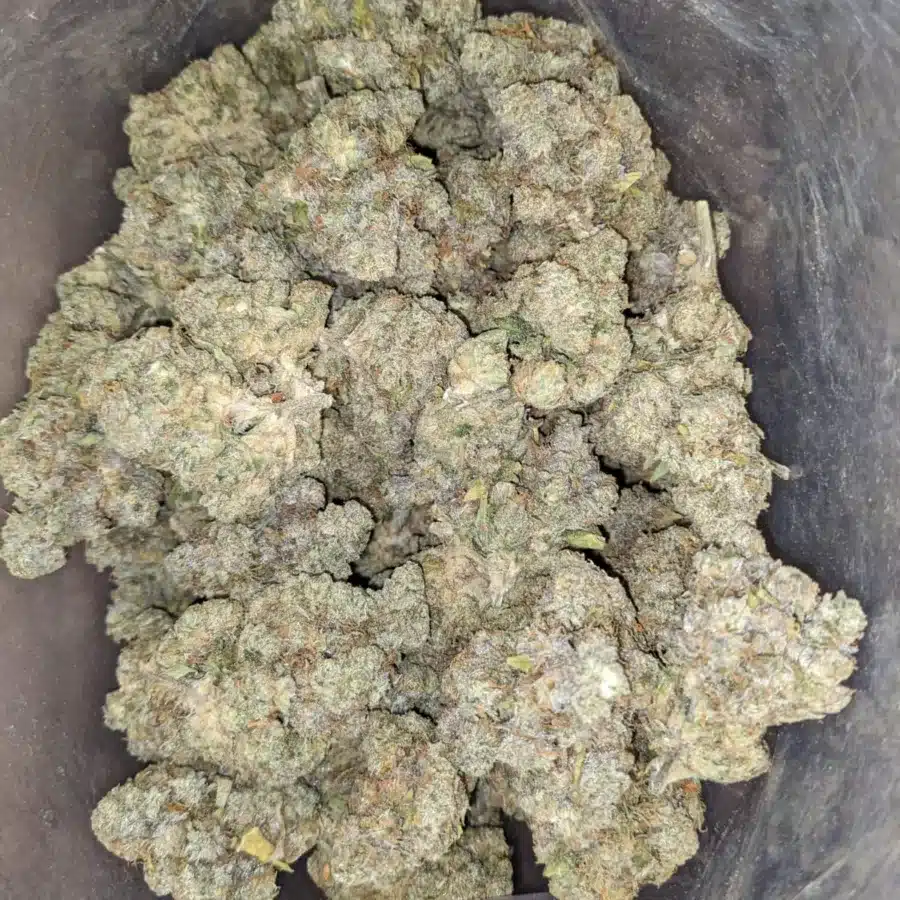60 Oz Pineapple Skunk 3 I $60oz Pineapple Skunk
