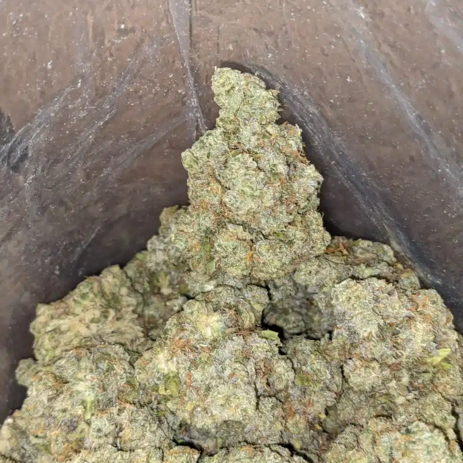 60 Oz Pineapple Skunk 4 I $60oz Pineapple Skunk