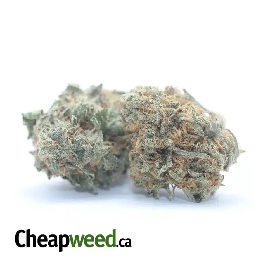 Alternative view of Berry White