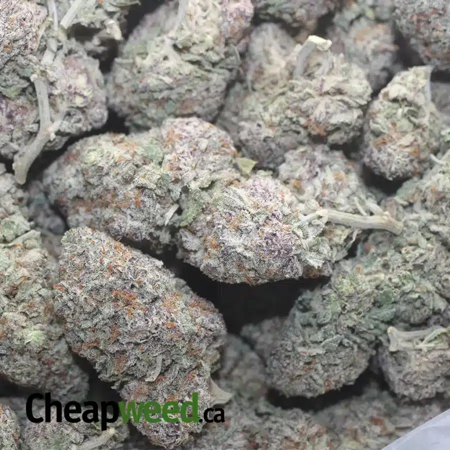 BLUE COMA 1 I $ 81 Oz - Blue Coma