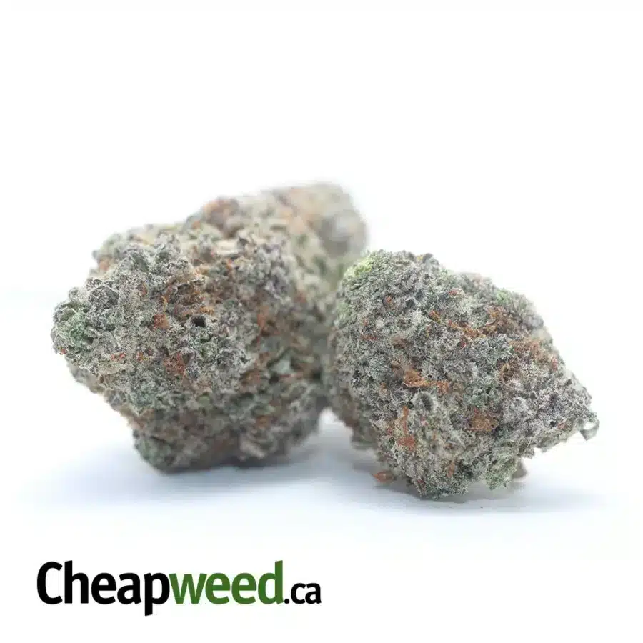 BLUE COMA 3 I $ 81 Oz - Blue Coma