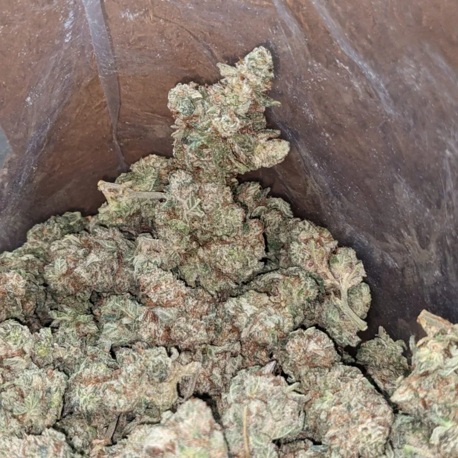 Berry White - Image 5