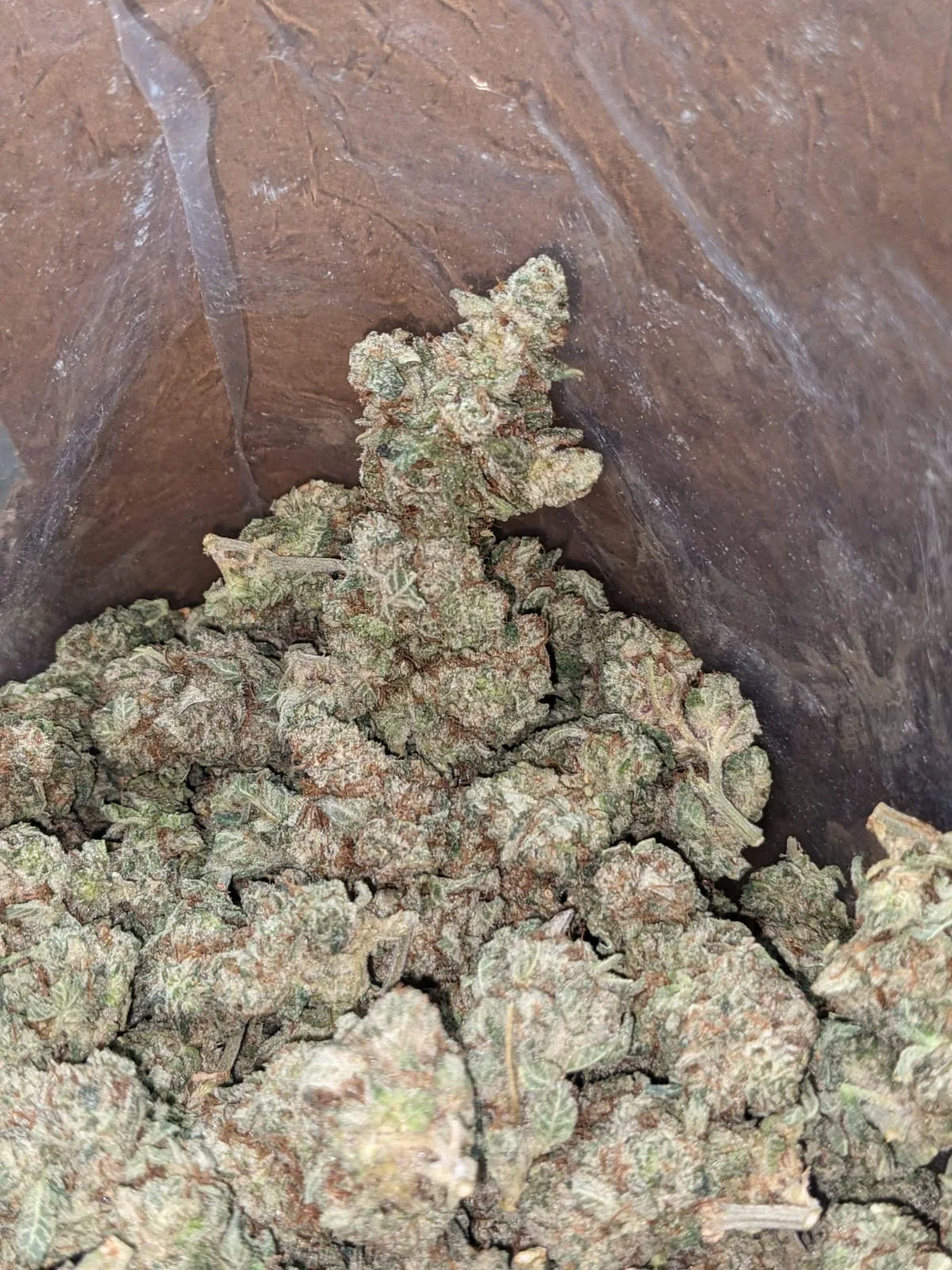 Berry White - Image 5